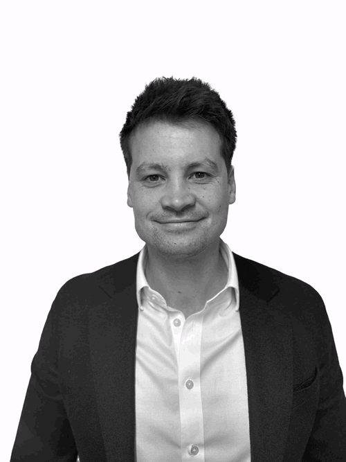  Sean Hitchman Principal Consultant